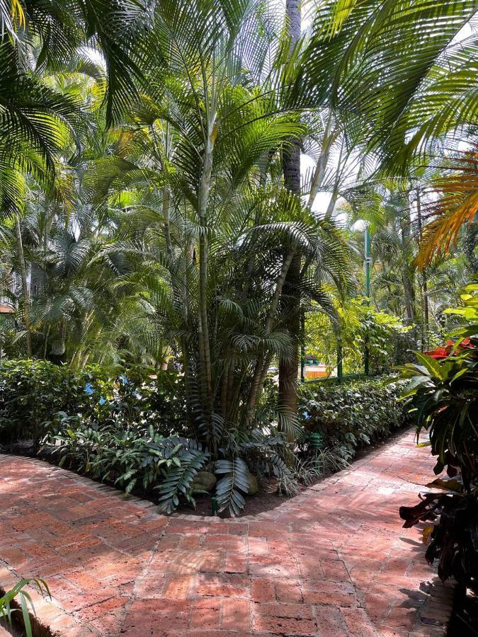 The Best Of Marbella Puerto Vallarta Exterior photo