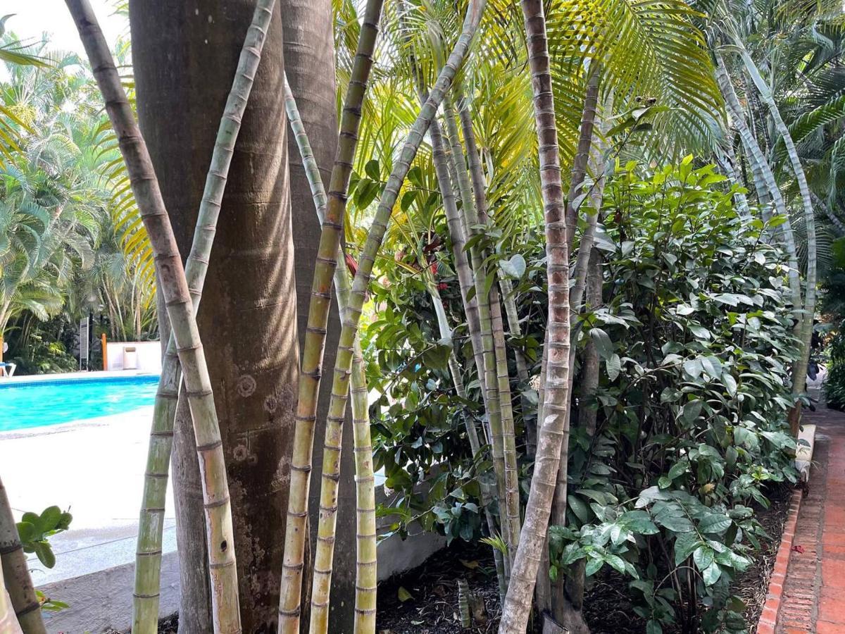 The Best Of Marbella Puerto Vallarta Exterior photo