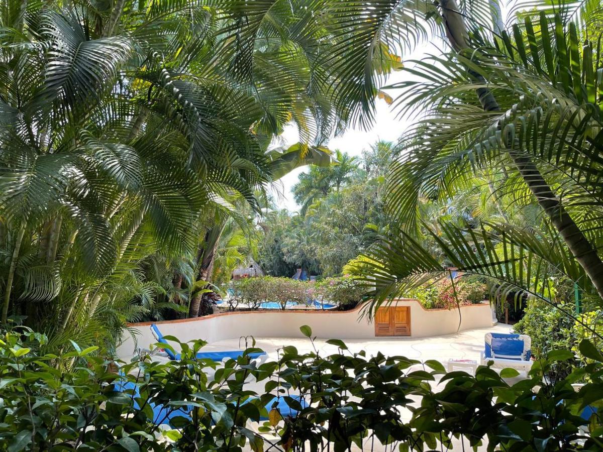 The Best Of Marbella Puerto Vallarta Exterior photo